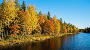 Autumn River Colors