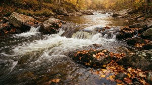 Autumn River Flow