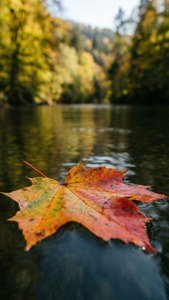Autumn River Leaf