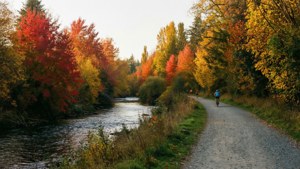 Autumn River Trail