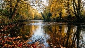 Autumn River Ure