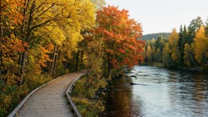 Autumn River Walk