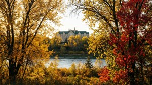 Autumn Riverbank