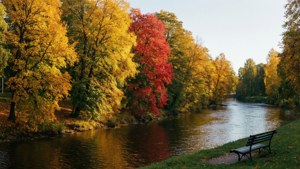 Autumn Riverside Colors