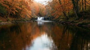 Autumn Riverside Serenity