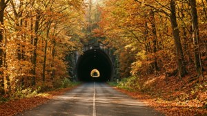 Autumn Road Tunnel