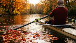 Autumn Row