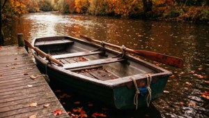 Autumn Rowboat Oars