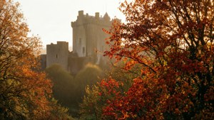 Autumn's Glow