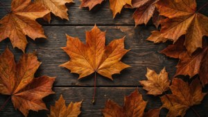 Autumn Scatter Wood