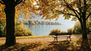 Autumn Serenity