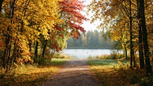 Autumn Serenity Östersund