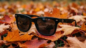 Autumn Shades