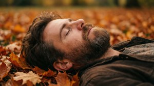 Autumn Slumber