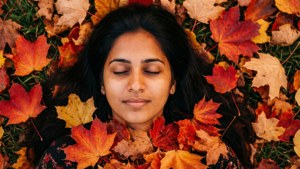 Autumn Slumber