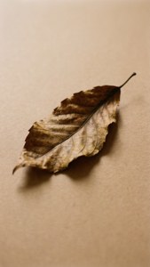 Autumn Solitude