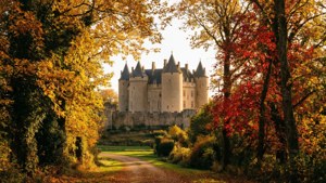 Autumn Splendor