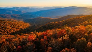 Autumn Splendor in Shenandoah