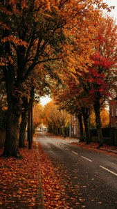 Autumn Street Newry