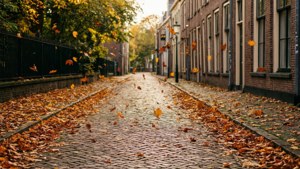 Autumn Stroll