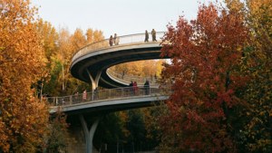 Autumn Tabiat Bridge