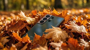Autumn Textures