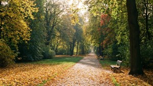 Autumn Tiergarten