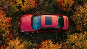 Autumn Top Down