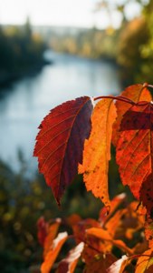Autumn Trail Detail