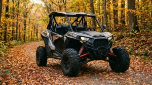 Autumn Trail Glow
