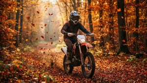 Autumn Trail Ride