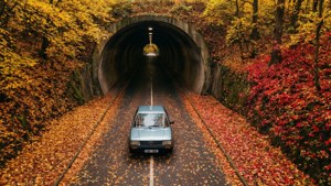 Autumn Tunnel Drive
