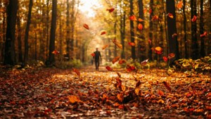 Autumn Walk