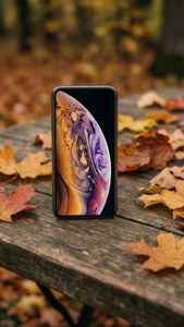 Autumn Wood iPhone XR