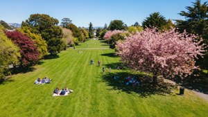 Avalon Park Summer
