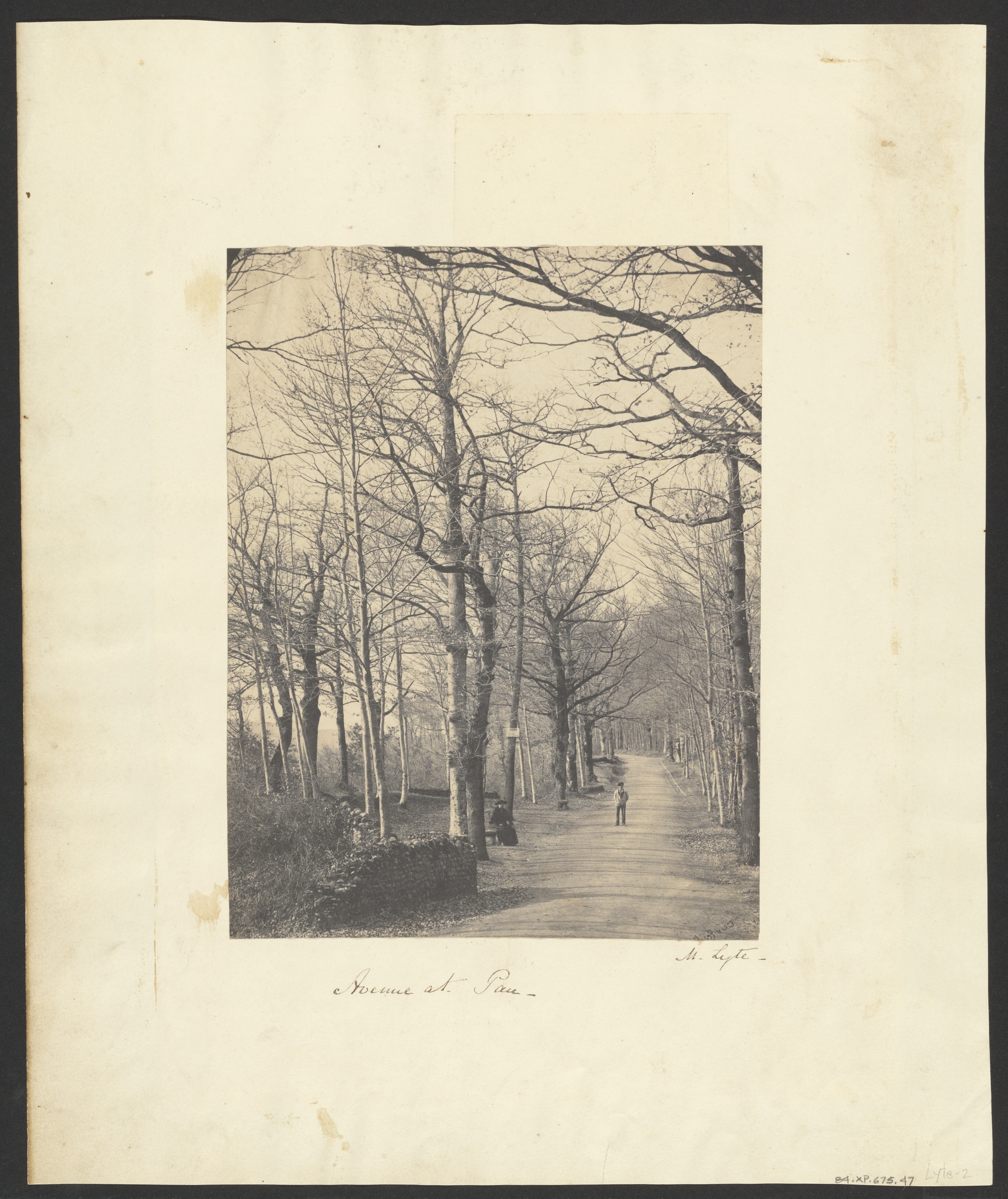 Avenue at Pau by Unknown artist