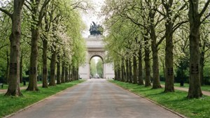 Avenue of Honour in Spring
