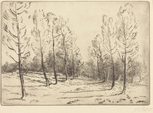 Avenue of Poplars (L'allee de peupliers)