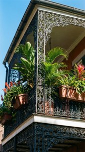 Balcony Bloom in the Quarter
