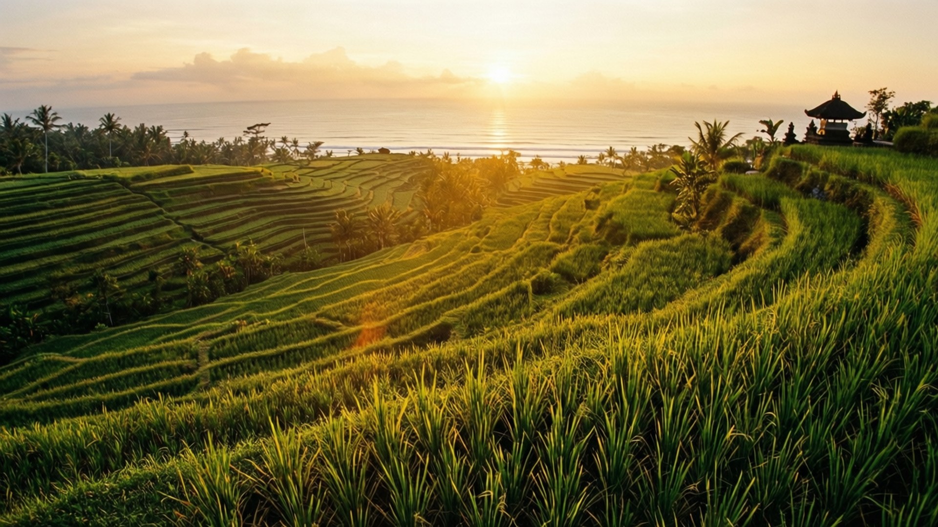 Bali Sunrise Terraces by Wallpapers.art Studio