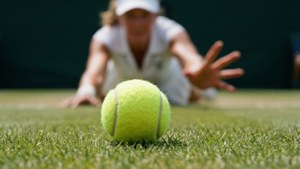 Ball in Focus