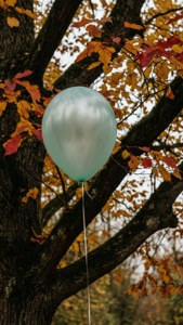 Balloon in Autumn Tree