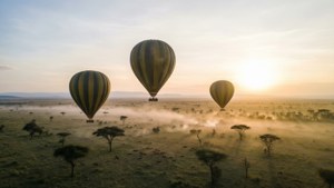 Balloon Safari at Dawn
