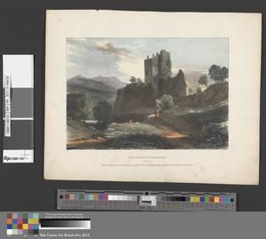 Ballyhooly Castle, Cork