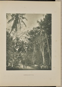 Bambalapitiya