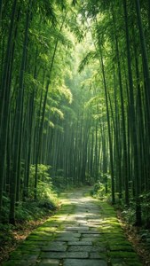 Bamboo Forest Path