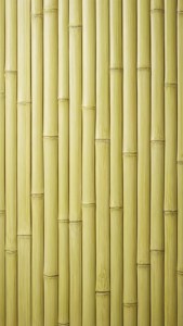 Bamboo Zen