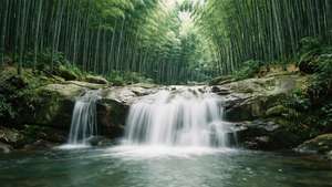 Bamboo Zen Falls