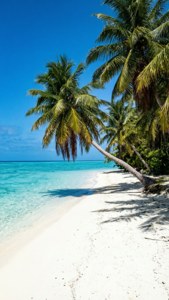 Banaba Island Paradise Beach
