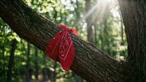 Bandana in Nature
